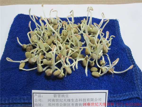 圖片2.png
